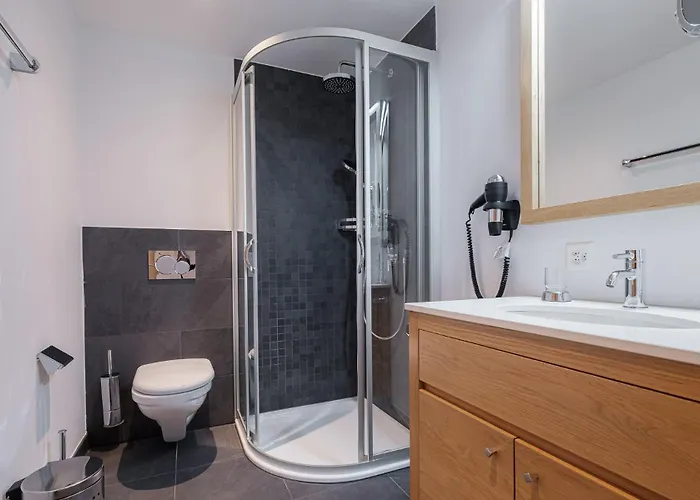 Haus Zur Matte By Premium Διαμέρισμα *